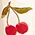 Cherries and Cream Wide-Leg Pants