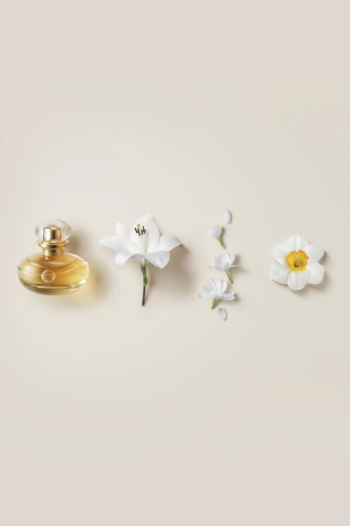 Lily Le Parfum 30ml - Limited Edition